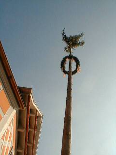 Der Baum steht